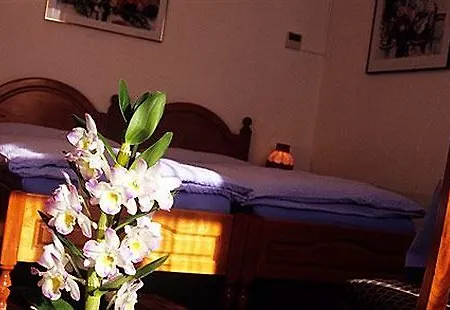 Hotel Alexandra Muralto
